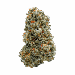 import placeholder for 1159
